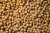 non gmo dried cheap soybeans for sale