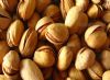 high quality pistachio nuts raw with best price