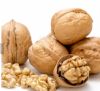 supply whole walnuts with shell