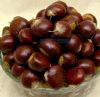 quality premium fresh chestnuts